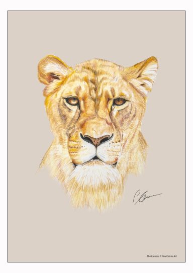 A lioness portrait