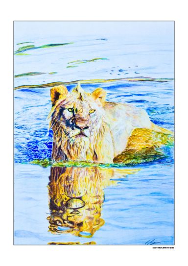 Lion Swimming in a lake
