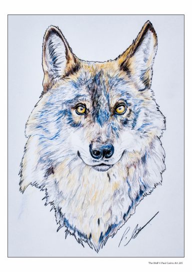 The Wolf