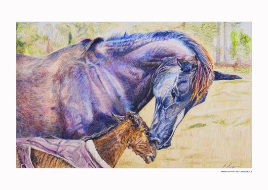 Horse and her Foal in a paddock