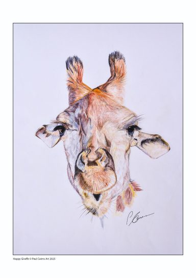 Coloured Pencil study of a happy Giraffe
